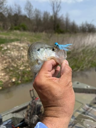 Crappie fishing on Mark Twain Lake