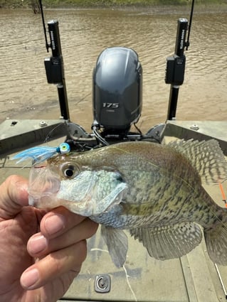 Crappie fishing on Mark Twain Lake