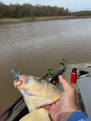Crappie fishing on Mark Twain Lake