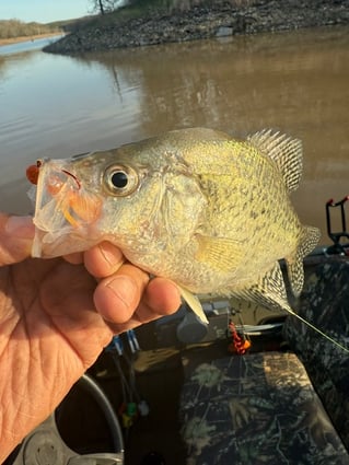Crappie fishing on Mark Twain Lake