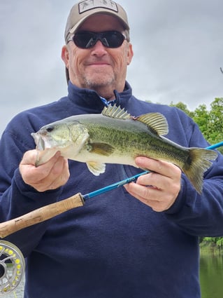Bass Fishing on Lake Fork