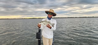 Bass Fishing on Lake Fork