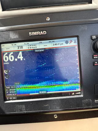 Destin Offshore Fishing