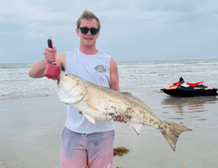 XL Tripletail, Tarpon & Redfish