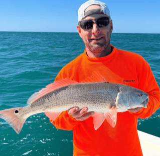 XL Tripletail, Tarpon & Redfish