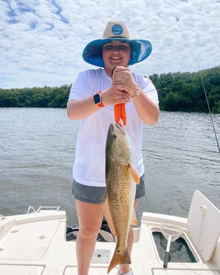 Redfish Fishing in Clearwater, Florida
