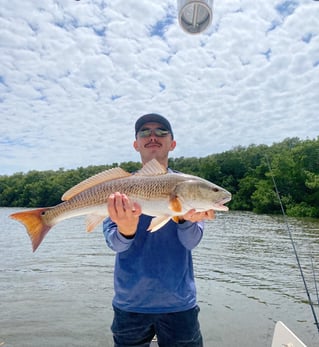 Redfish Fishing in Clearwater, Florida