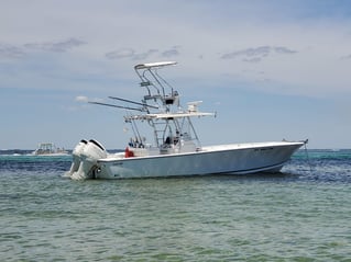 Bringing home the DINNER!!!!!