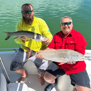Redfish, Snook Fishing in Fort Myers, Florida