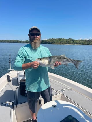 Hybrid & Striped Bass