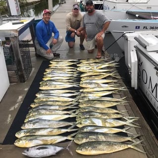 Reel in the Adventure: Key Largo Offshore Fishing