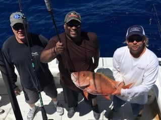 Reel in the Adventure: Key Largo Offshore Fishing