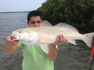 4-8 Hours Fishing Trip - 16'