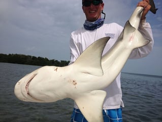 4-8 Hours Fishing Trip - 16'