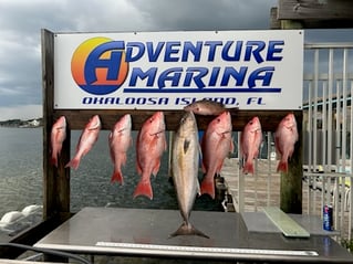 Fort Walton Inshore Spectacular