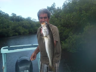 4-8 Hour Fishing Trip