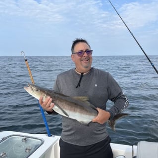 6-8 Hour Trip – Offshore