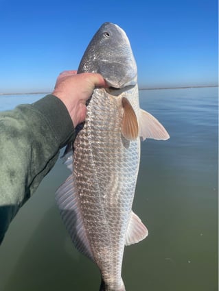 Rockport Inshore & Flats