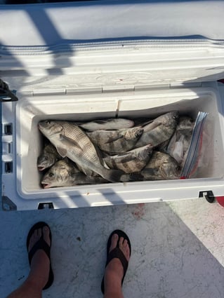 Rockport Inshore & Flats