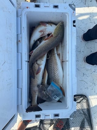 Costal Bend Bay Fishing