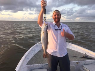 Speckled Trout Fishing in Galveston, Texas