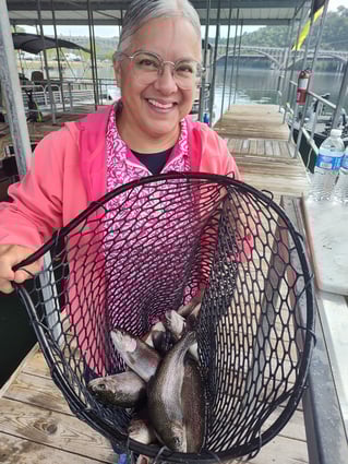 Trout Fishing In Lake Taneycomo