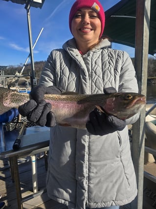 Trout Fishing In Lake Taneycomo