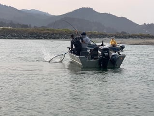 Gold Beach Inshore Trip
