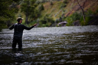 Fly Fishing for Steelhead, Salmon & Trout
