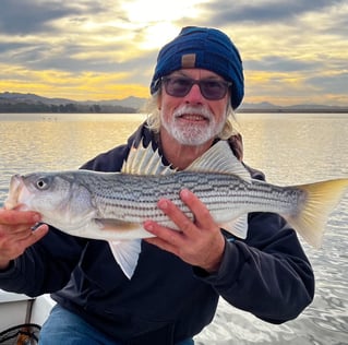 Hybrid Striped Bass Fishing in Napa, California
