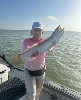 Inshore Fishing Trip