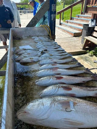 Inshore Fishing Trip