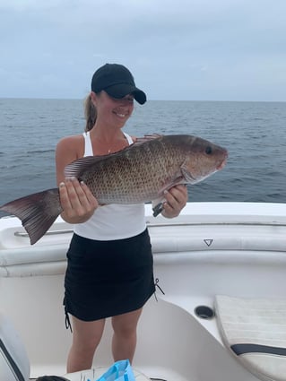 8-4 Hours Offshore Trip