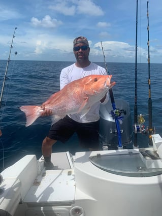 8-4 Hours Offshore Trip