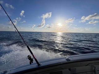 Half Day offshore fishing