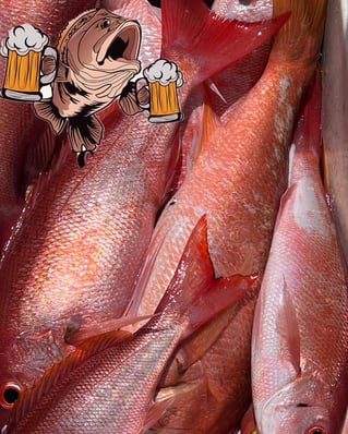 Half Day offshore fishing