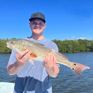 Saltwater Fly Fishing Action
