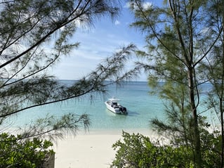 38ft Fish, Snorkel, Beach