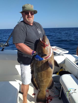 4 hours 38ft Reel Dreams