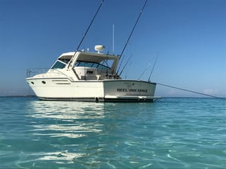 4 hours 38ft Reel Dreams