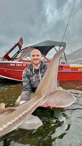 Over-Size White Sturgeon