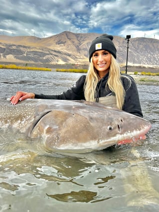 Over-Size White Sturgeon