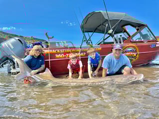 Over-Size White Sturgeon