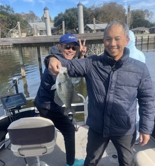 Half Day or Full Day Trip