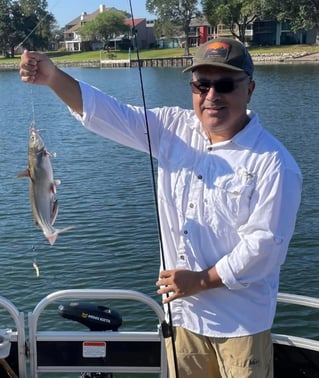 Half Day or Full Day Trip