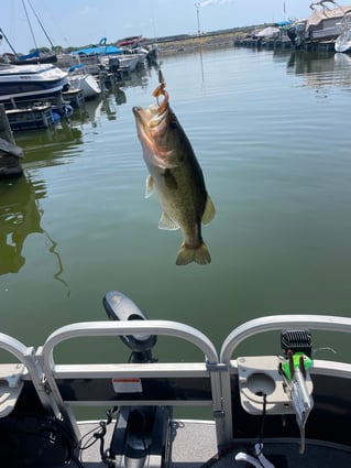 Half Day or Full Day Trip