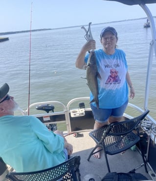 Half Day or Full Day Trip