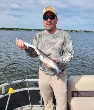 Half Day or Full Day Trip