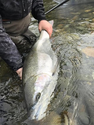 Full Day Trip – Fall Coho