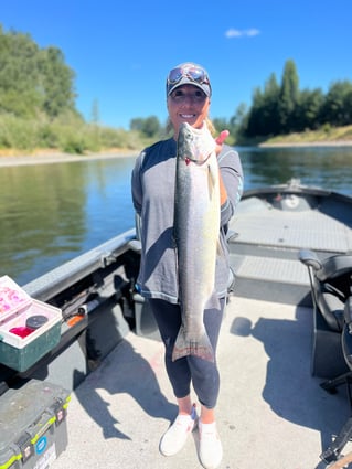 Olympic Penninsula Steelhead